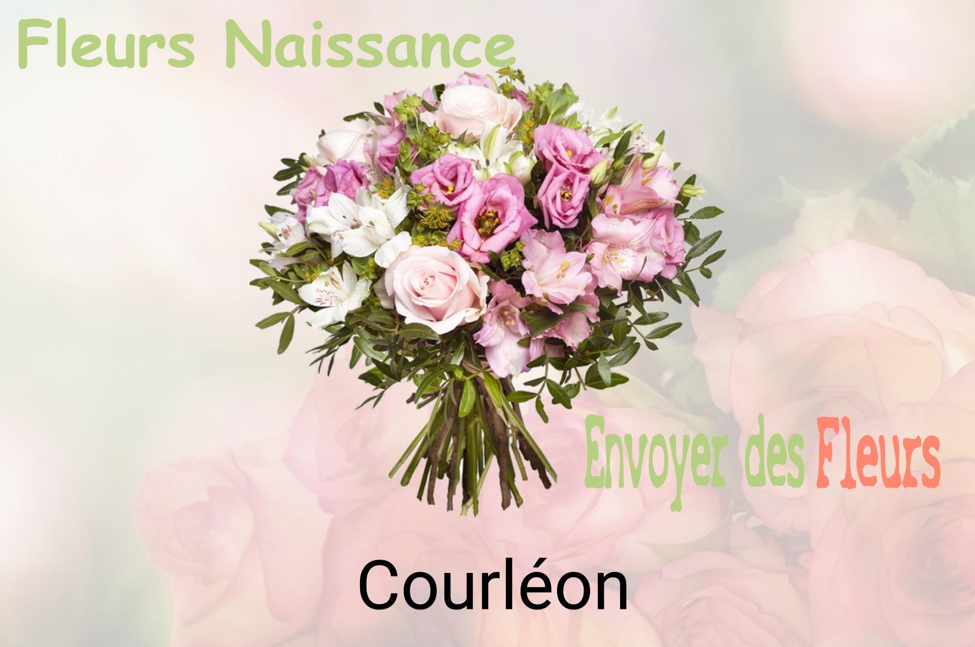 Bouquet de fleurs de naissance livré à Courléon
